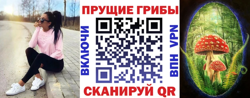 Псилоцибиновые грибы прущие грибы  Одинцово 